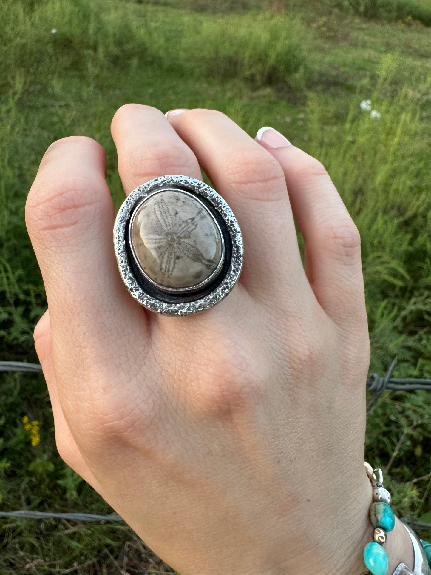 Fossilized Sea Urchin ring size 8