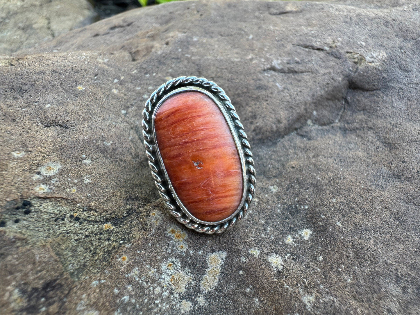 Spiny oyster statement ring