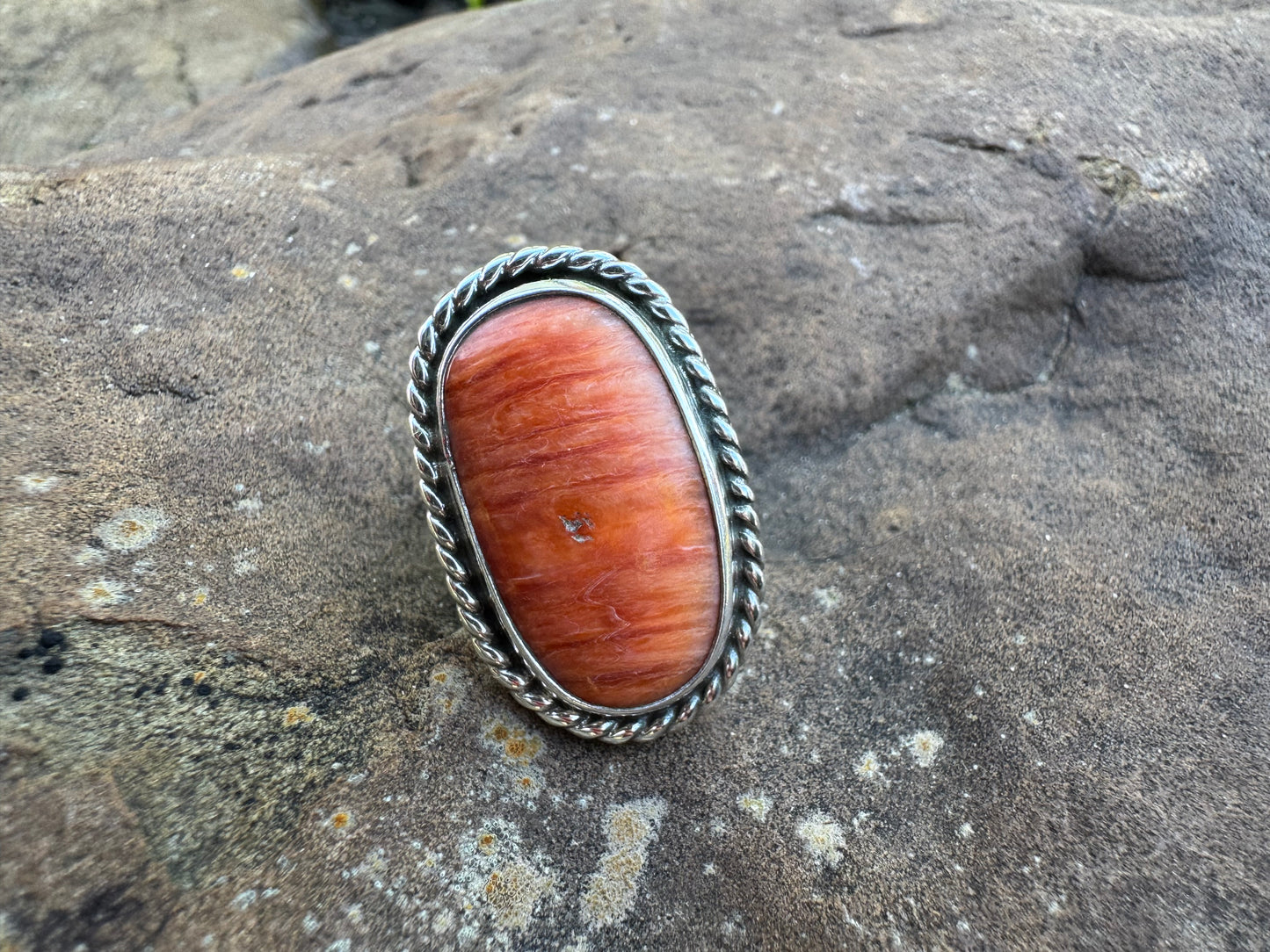 Spiny oyster statement ring