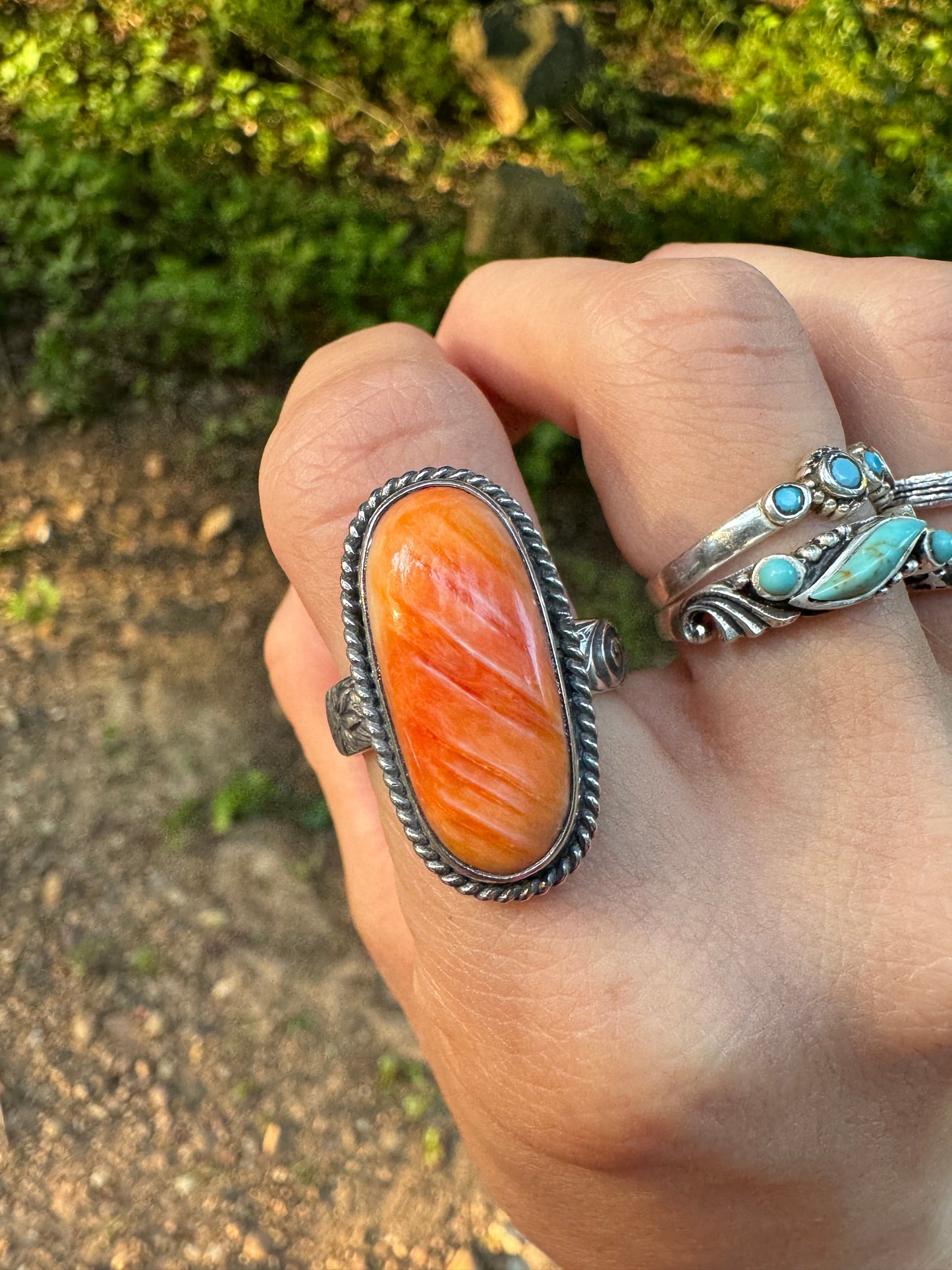 Spiny oyster shell ring size 8.5