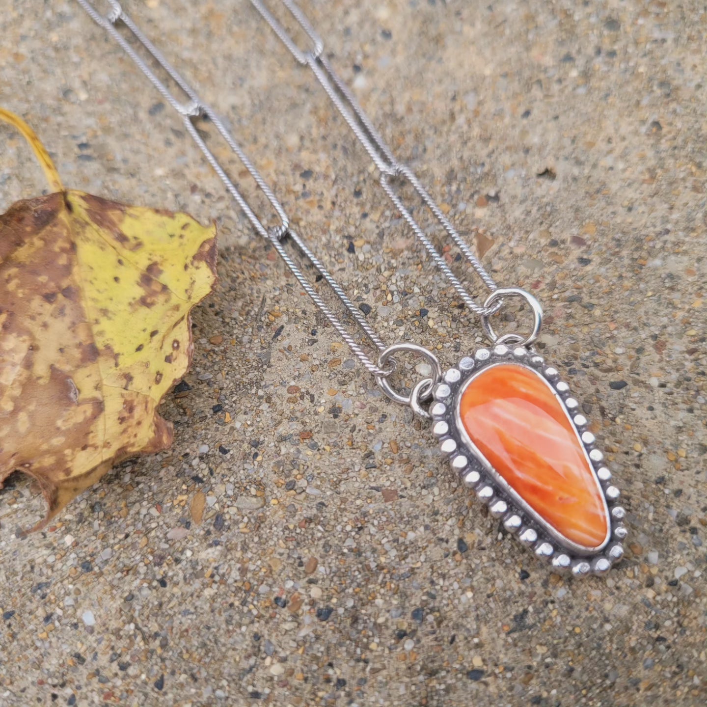 Spiny oyster Paperclip Station Necklace