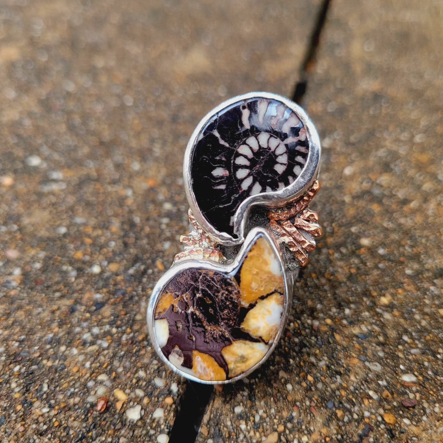 Dueling Ammonite Ring size 7