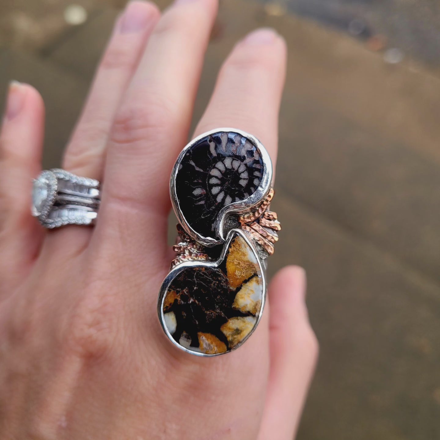Dueling Ammonite Ring size 7