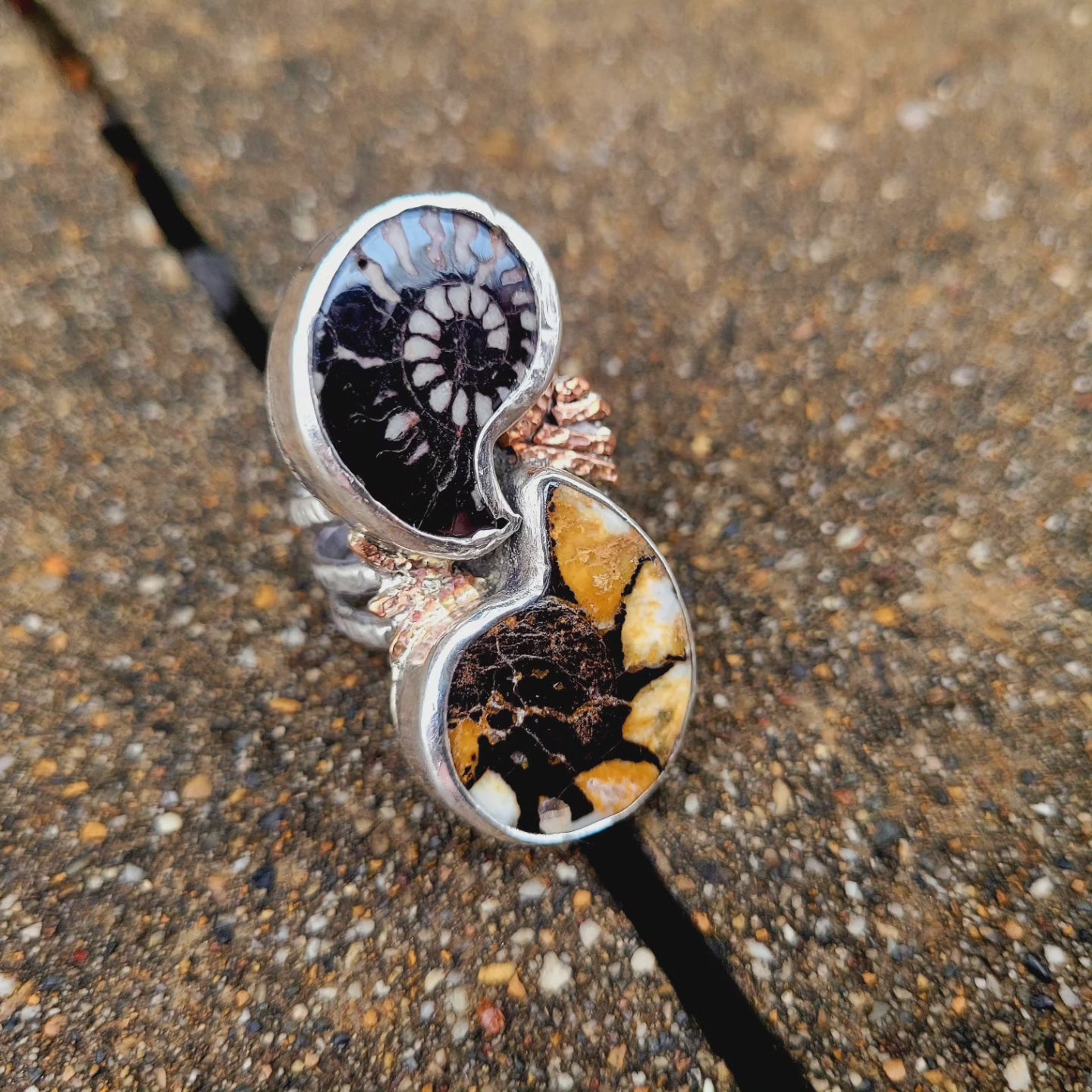 Dueling Ammonite Ring size 7