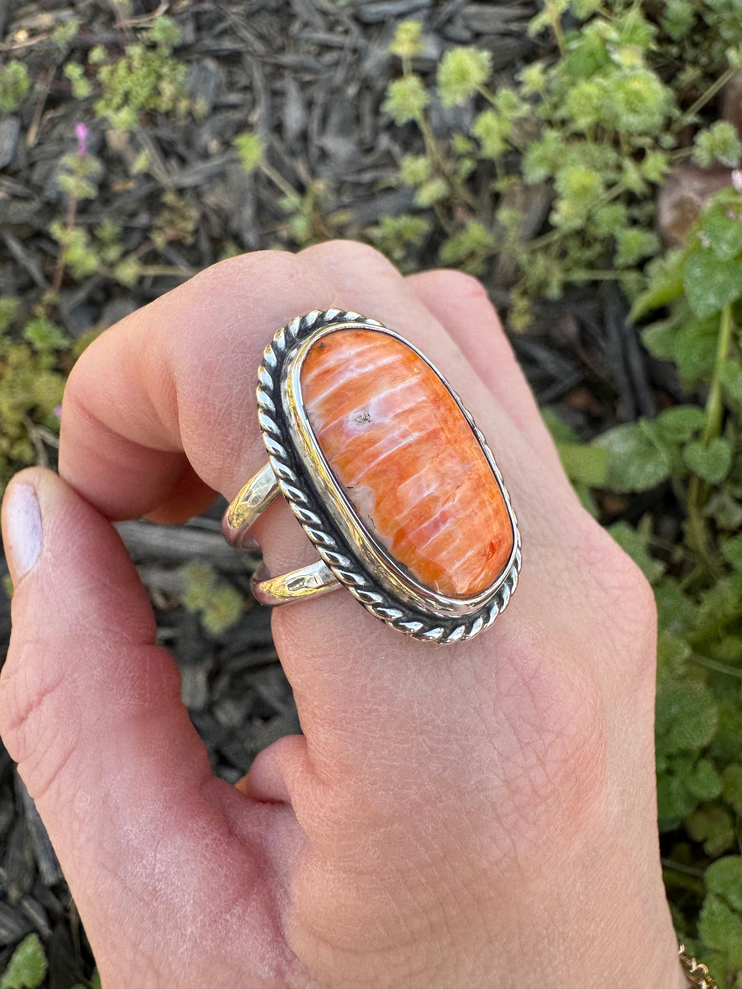 Spiny Oyster Classic Ring size 9.5