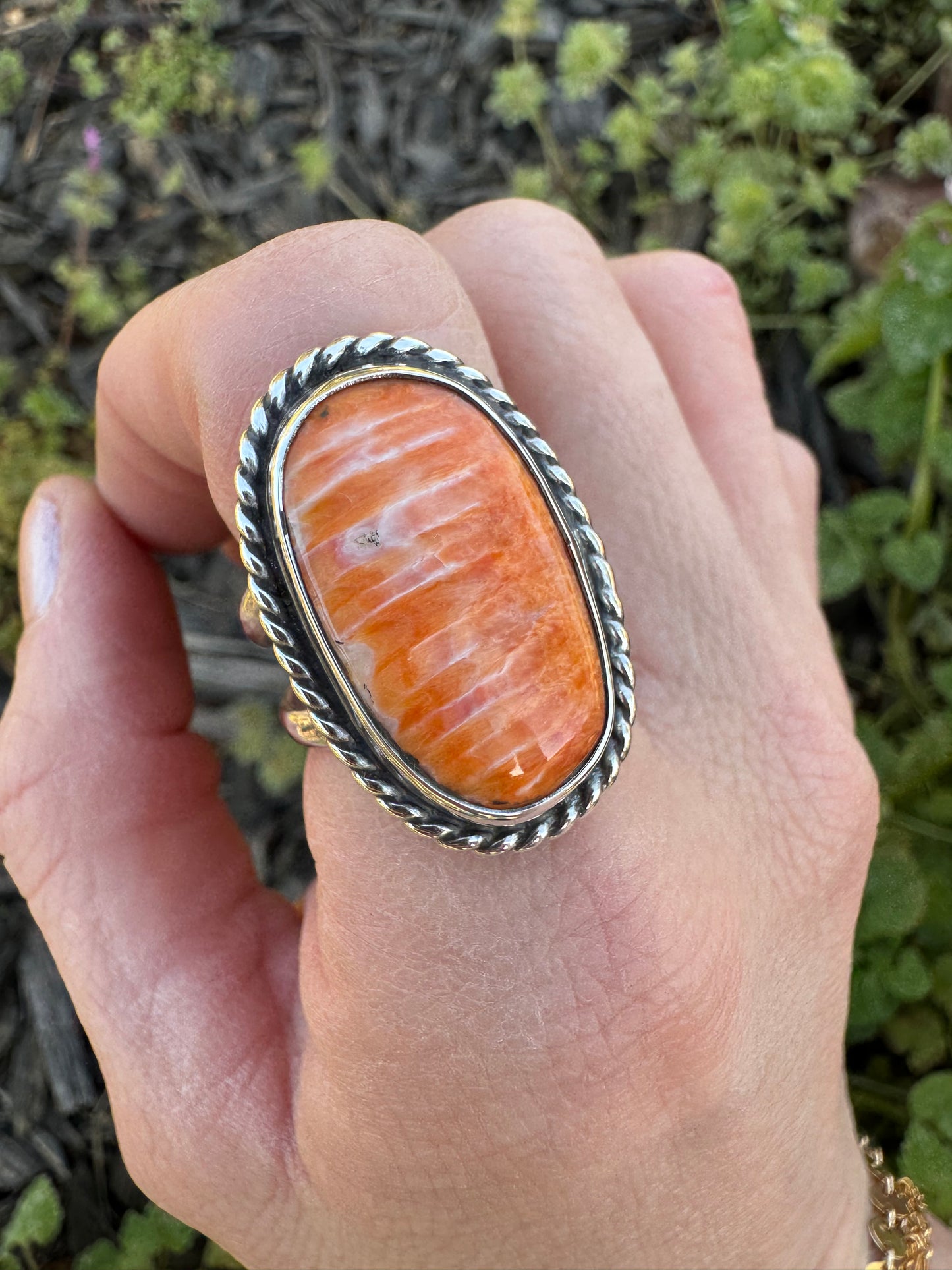 Spiny Oyster Classic Ring size 9.5