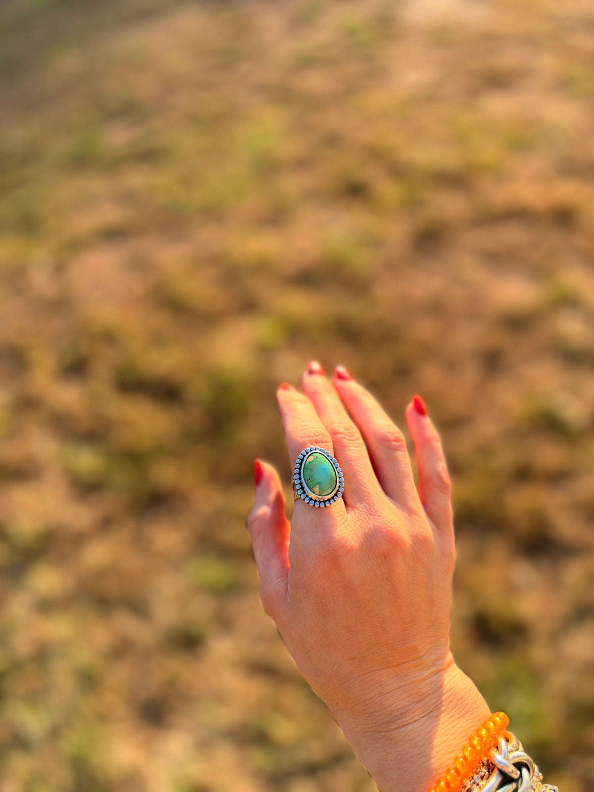 Sonoran Gold Turquoise Sterling Silver Statement Ring | Size 8