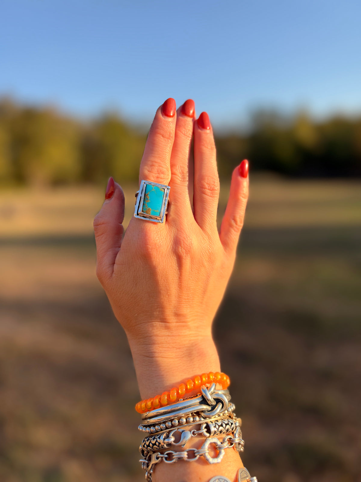 Kingman turquoise Rectangle ring size 8