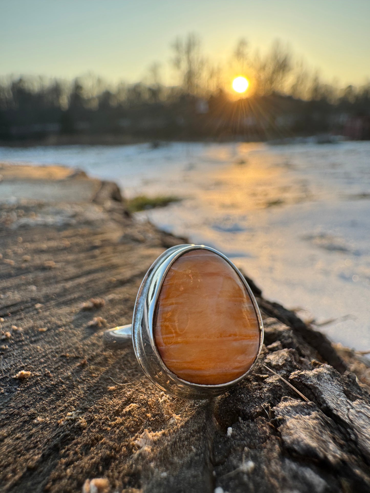 Spiny oyster round ring size 7
