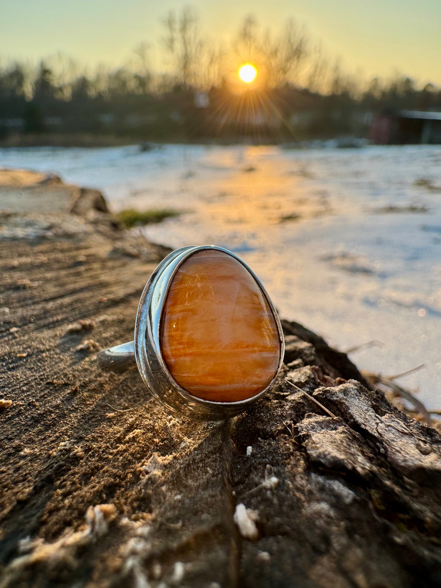 Spiny oyster round ring size 7