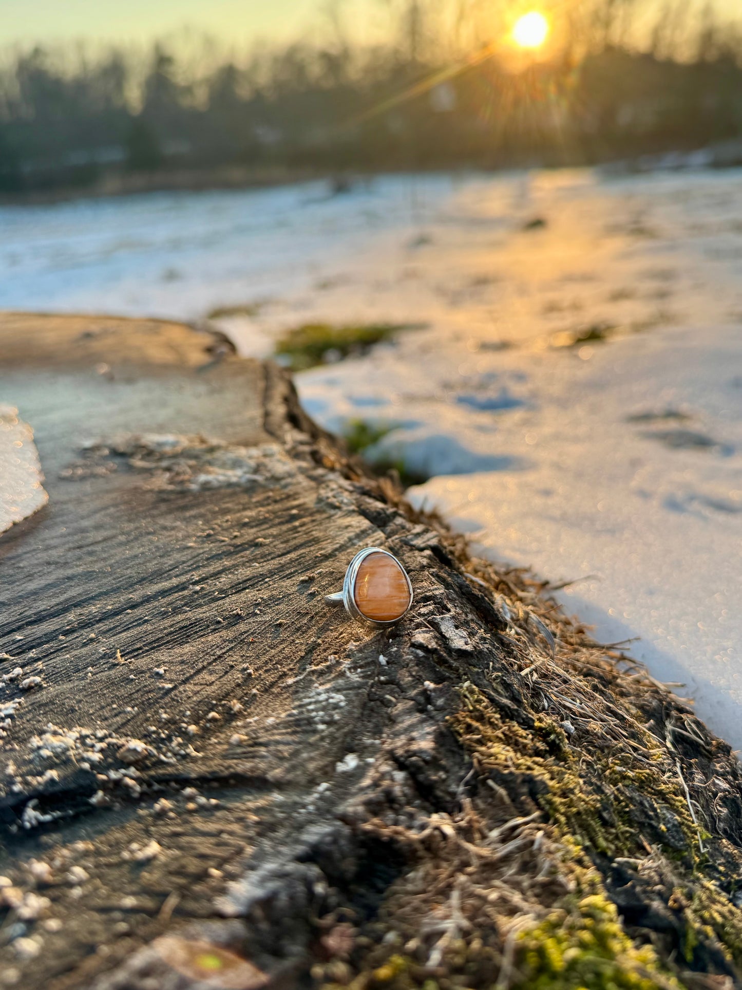 Spiny oyster round ring size 7