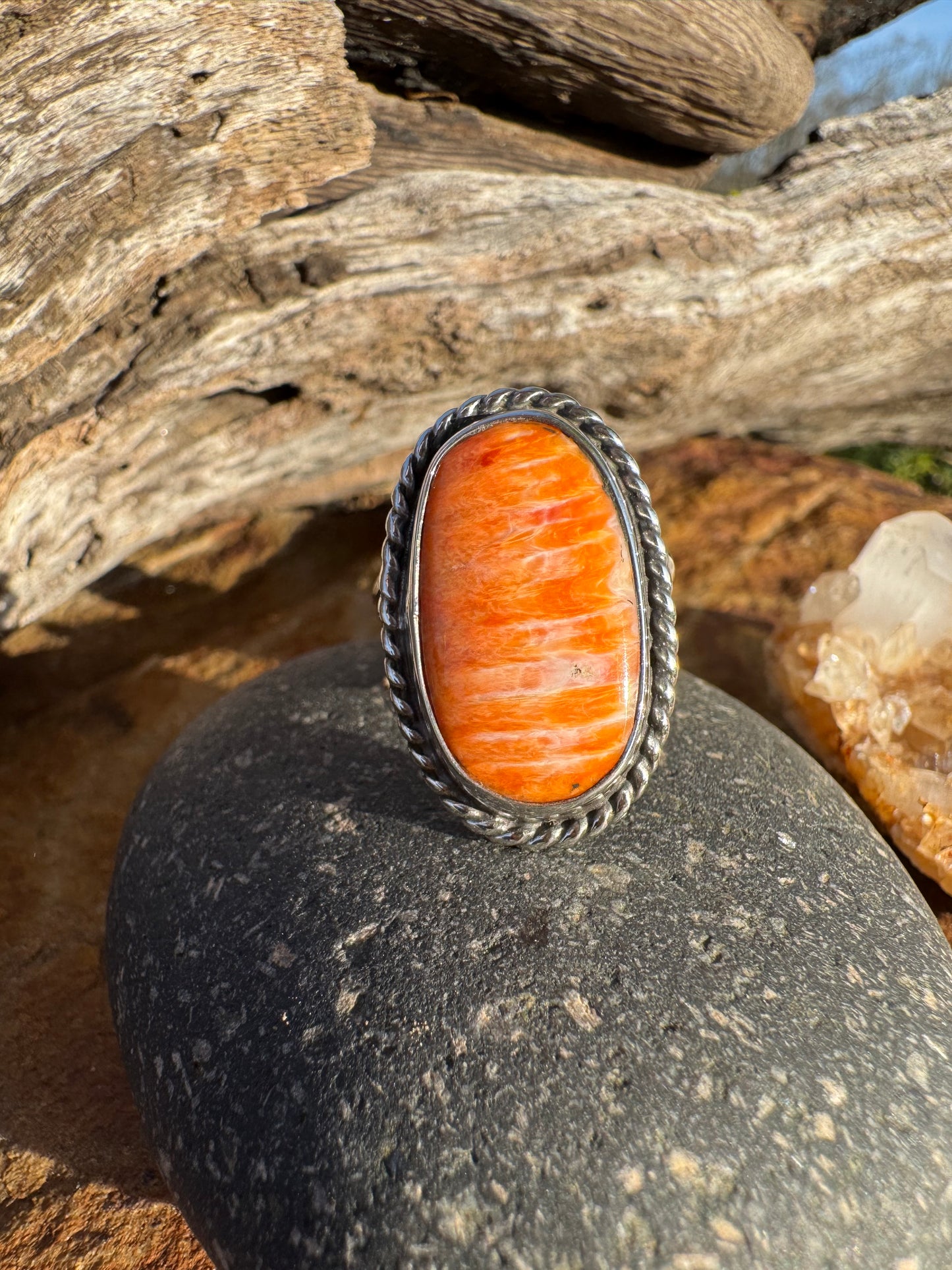 Spiny Oyster Classic Ring size 9.5
