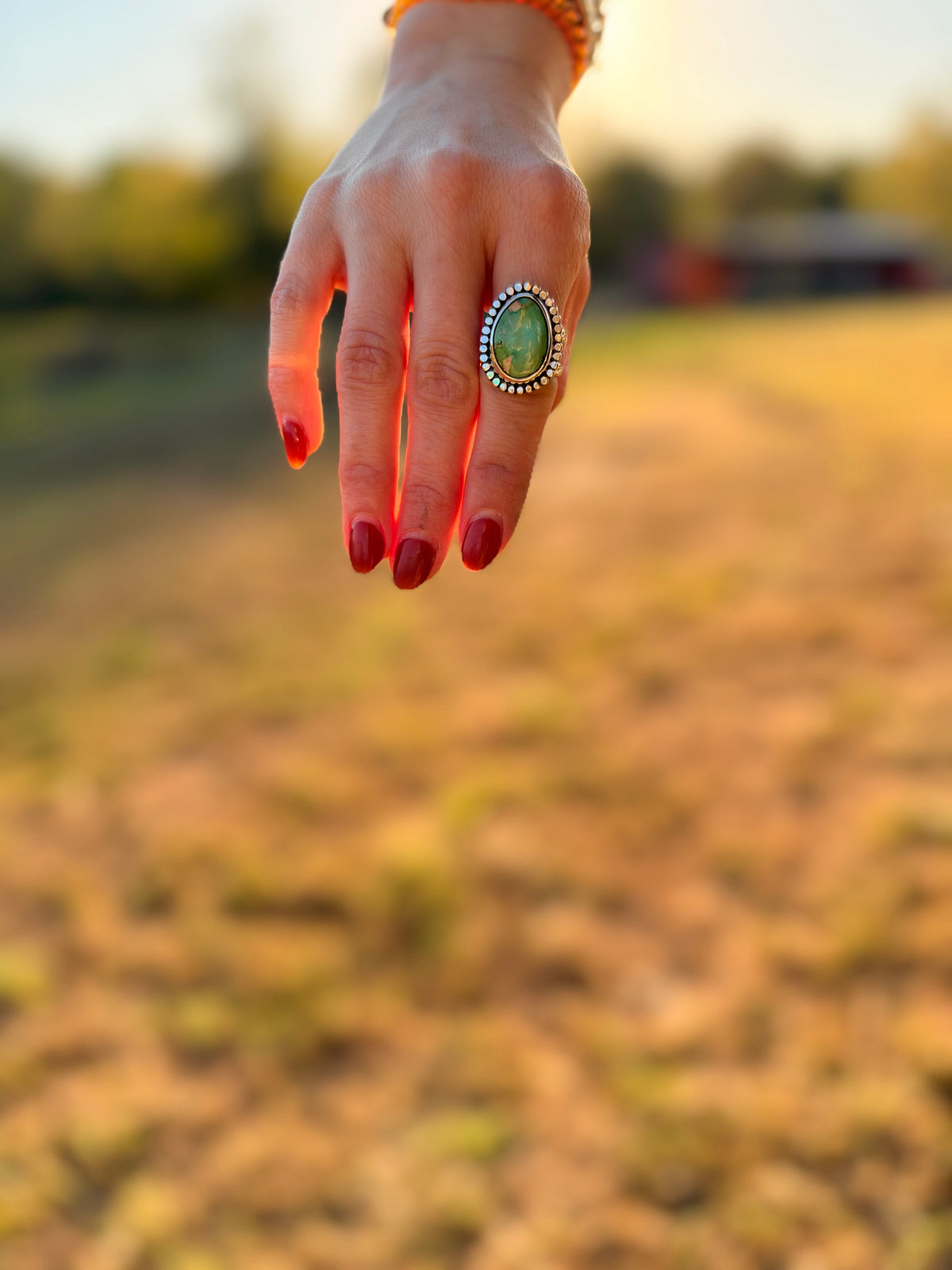 Sonoran Gold Turquoise Sterling Silver Statement Ring | Size 8