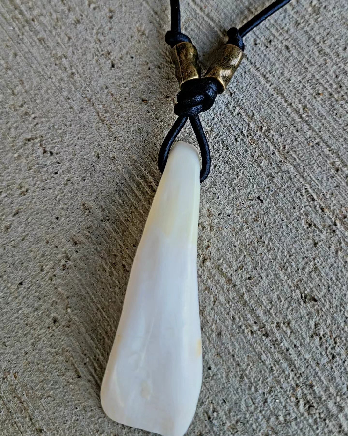 Buffalo Tooth Necklace
